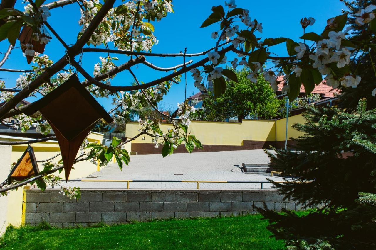 Pensiunea Imperial Targu-Mures Bagian luar foto
